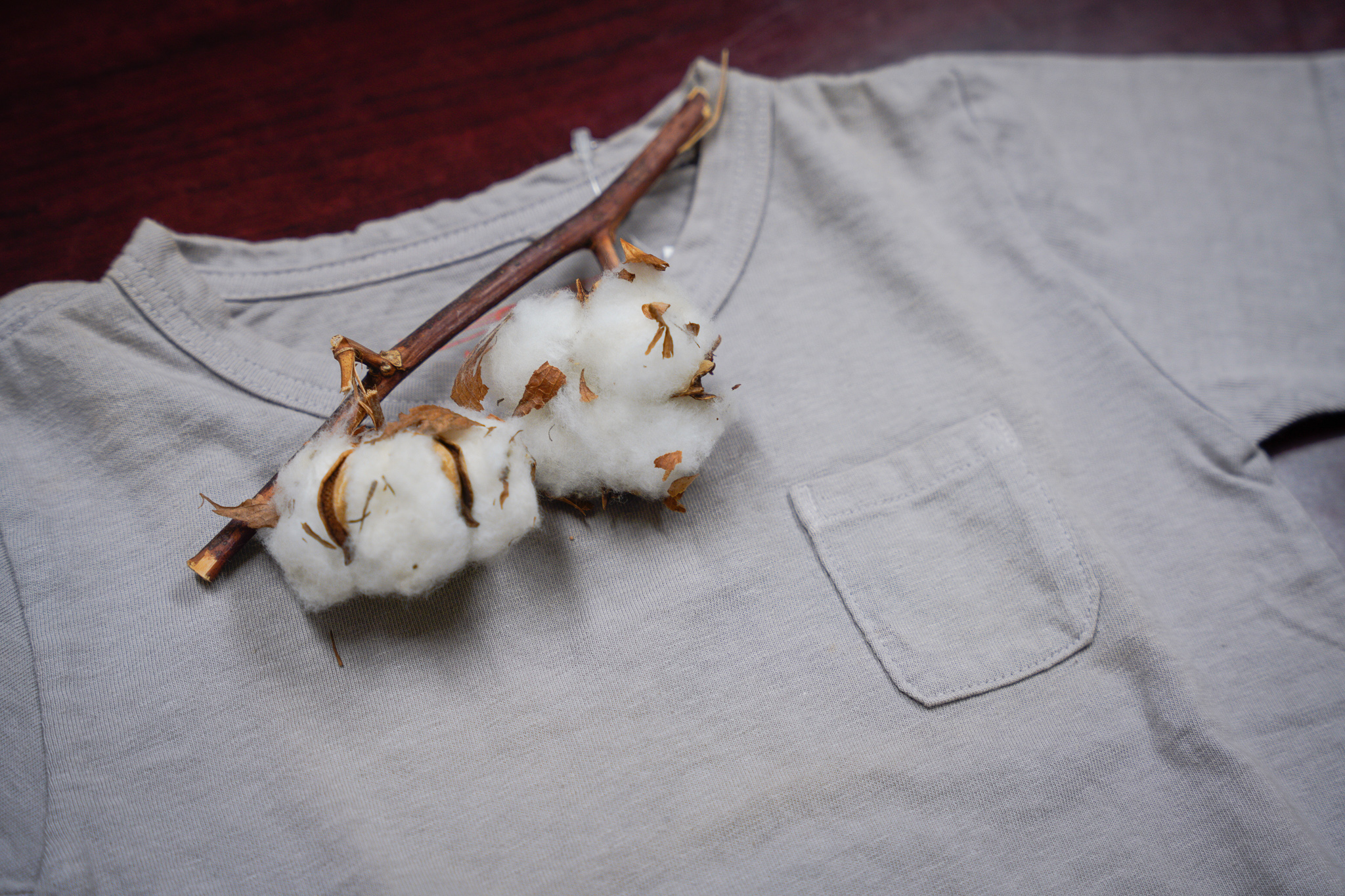 コットンの種取りはメディテーション?